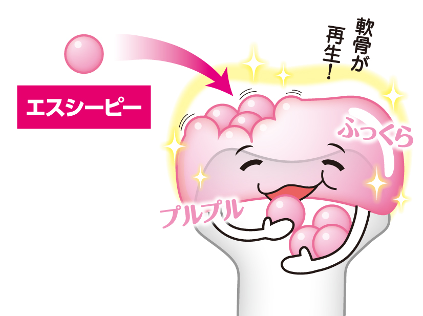 エスシーピーが効く理由