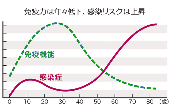 年齢と免疫力の関係