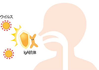 －イラスト－⑤