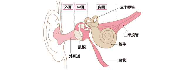 音が聞こえるしくみ