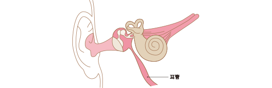 耳管狭窄症・耳管開放症