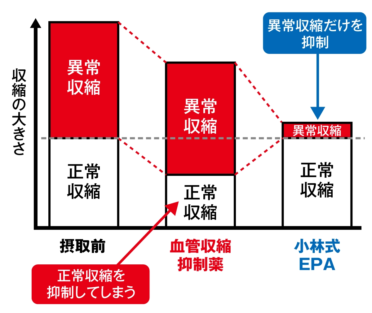 血管の正常な収縮は妨げない