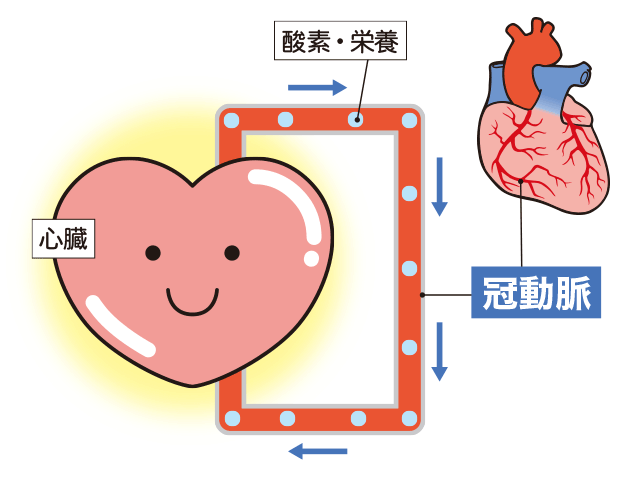 全身に血液を届ける